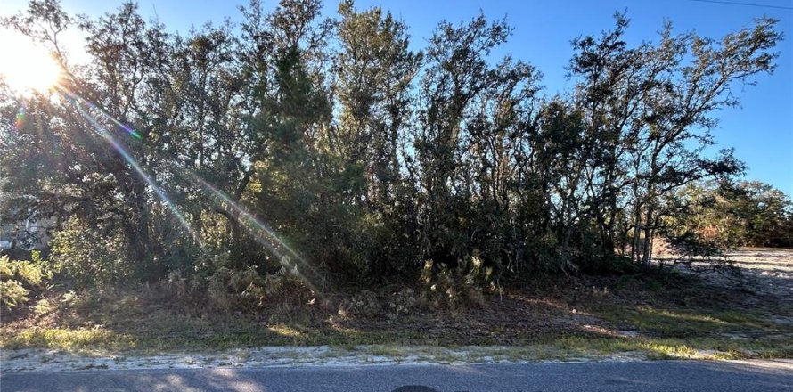 Land in Spring Hill, Florida № 1774618