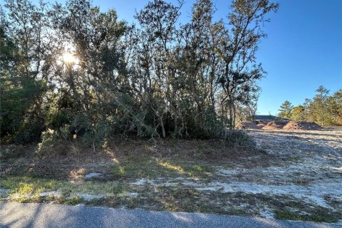Land in Spring Hill, Florida № 1774618 - photo 3