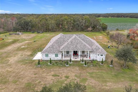 House in Plant City, Florida 4 bedrooms, 462.56 sq.m. № 1534122 - photo 5