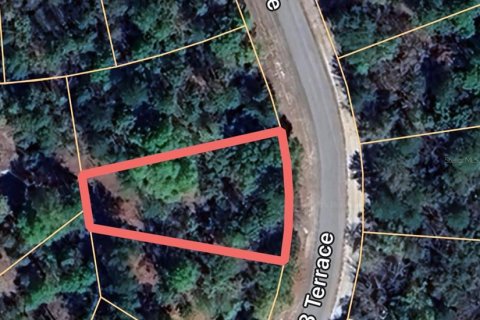 Land in Ocala, Florida № 2214458