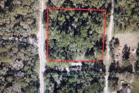 Terreno en venta en Dunnellon, Florida № 1832153 - foto 1