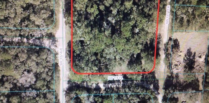 Terreno en Dunnellon, Florida № 1832153