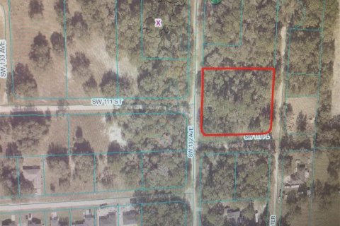 Terreno en venta en Dunnellon, Florida № 1832153 - foto 3