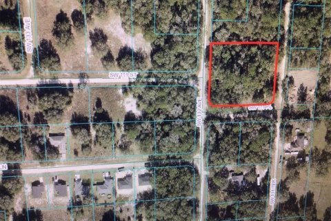 Terreno en venta en Dunnellon, Florida № 1832153 - foto 2