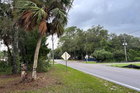 Terrain à DeLand, Floride № 2388341