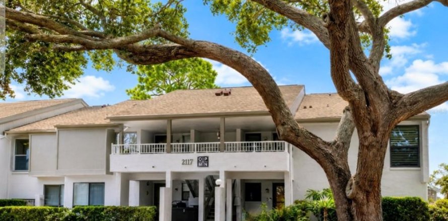 Condo à Saint Petersburg, Floride, 2 chambres  № 2348404