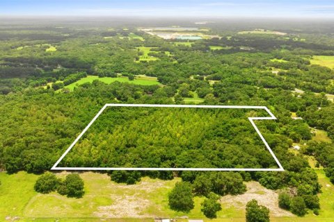 Land in Webster, Florida № 1801832 - photo 5