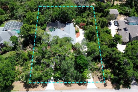 House in Port Orange, Florida 4 bedrooms, 294.78 sq.m. № 1736257 - photo 6
