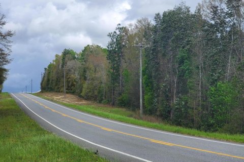 Terreno en venta en De Funiak Springs, Florida № 560213 - foto 1