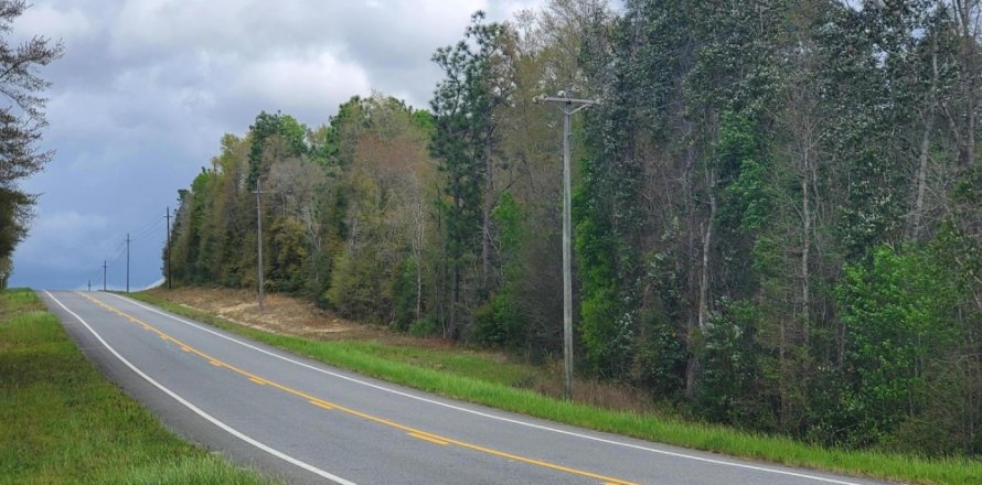 Terreno en De Funiak Springs, Florida № 560213
