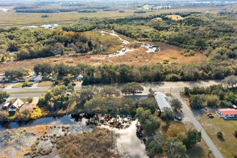 Land in Inverness, Florida № 1616664 - photo 8