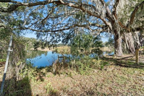 Land in Inverness, Florida № 1616664 - photo 14