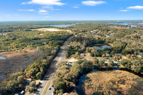 Land in Inverness, Florida № 1616664 - photo 10