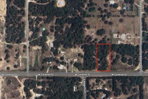 Land in Homosassa, Florida № 1337031 - photo 8
