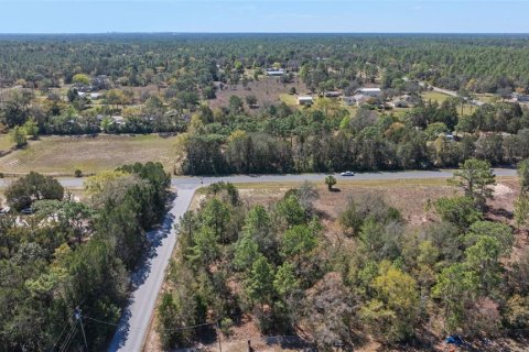 Land in Homosassa, Florida № 1337031 - photo 6