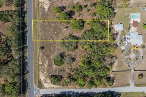 Land in Homosassa, Florida № 1337031 - photo 2