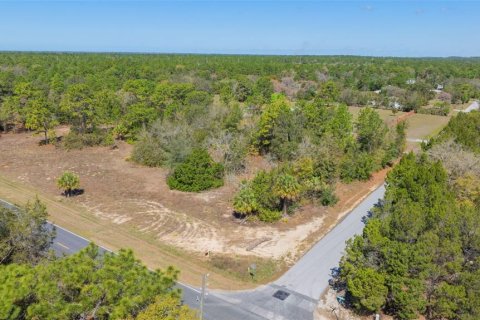 Land in Homosassa, Florida № 1337031 - photo 3