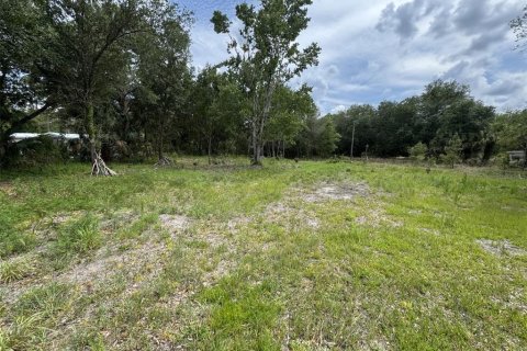 Land in Lake Wales, Florida № 2214805 - photo 6