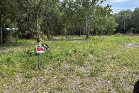 Land in Lake Wales, Florida № 2214805