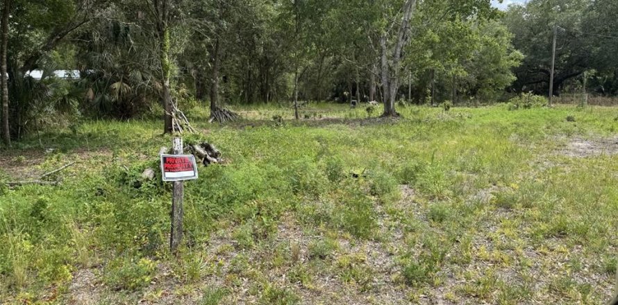 Land in Lake Wales, Florida № 2214805