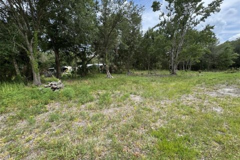 Land in Lake Wales, Florida № 2214805 - photo 3