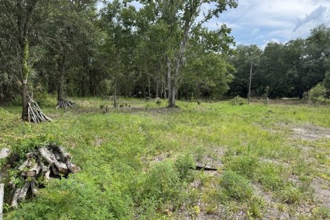 Land in Lake Wales, Florida № 2214805 - photo 4
