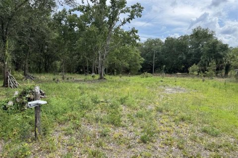Land in Lake Wales, Florida № 2214805 - photo 2