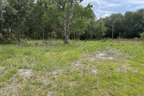 Land in Lake Wales, Florida № 2214805 - photo 7