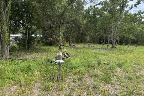 Land in Lake Wales, Florida № 2214805 - photo 5