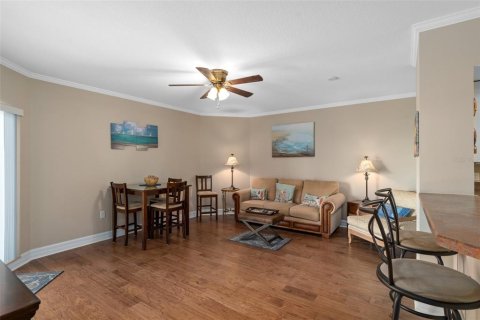 Copropriété à louer à New Port Richey, Floride: 1 chambre, 77.11 m2 № 1744227 - photo 19