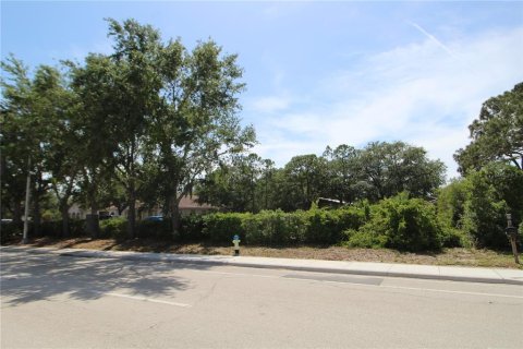 Terreno en venta en Sarasota, Florida № 1651162 - foto 1