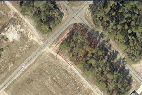 Land in Ocala, Florida № 2279731