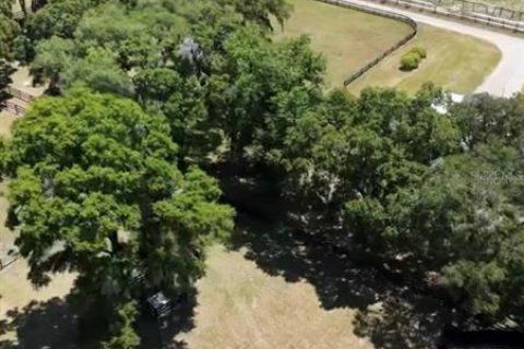 Снять в аренду виллу или дом в Окала, Флорида 8 комнат, 109.25м2, № 2207701 - фото 20