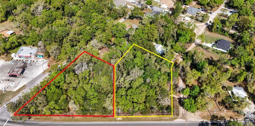 Land in Mount Plymouth, Florida № 2219059