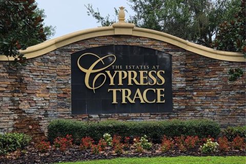 Land in Lakeland, Florida № 2283917