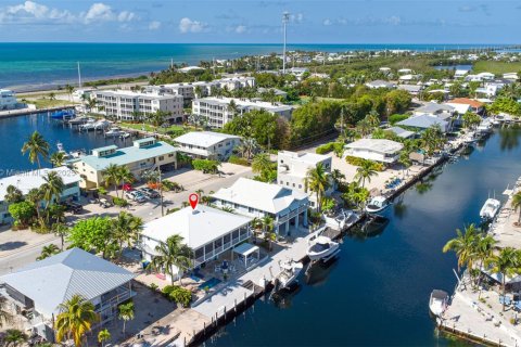 Villa ou maison à vendre à Islamorada, Village of Islands, Floride: 4 chambres, 194.91 m2 № 1963692 - photo 5
