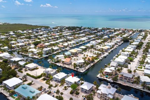Villa ou maison à vendre à Islamorada, Village of Islands, Floride: 4 chambres, 194.91 m2 № 1963692 - photo 6