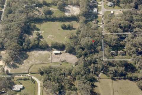 Land in Ocala, Florida № 2164263 - photo 5