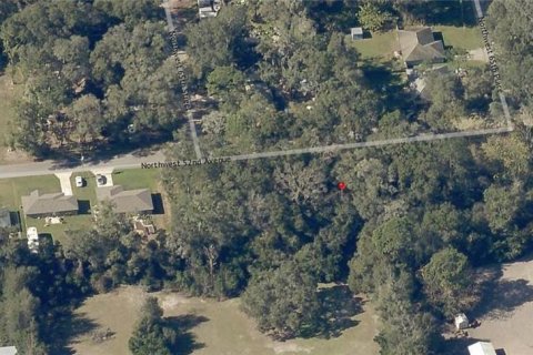 Land in Ocala, Florida № 2164263 - photo 6