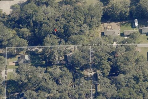 Land in Ocala, Florida № 2164263 - photo 4