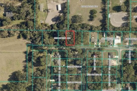 Land in Ocala, Florida № 2164263 - photo 2