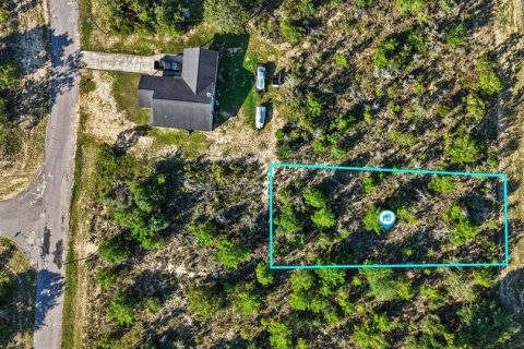 Land in Chipley, Florida № 2273315