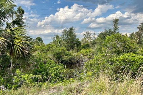 Land in Punta Gorda, Florida № 1196789 - photo 2