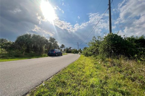 Land in Punta Gorda, Florida № 1196789 - photo 3