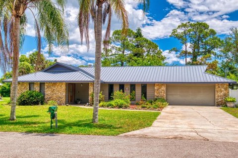 Villa ou maison à vendre à New Smyrna Beach, Floride: 3 chambres, 236.34 m2 № 1725442 - photo 1