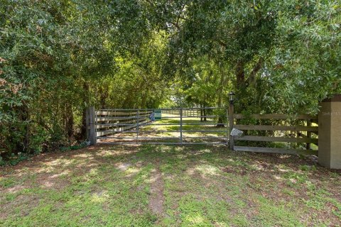 Land in Odessa, Florida № 2152354 - photo 21