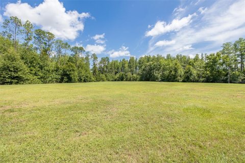 Land in Odessa, Florida № 2152354 - photo 27