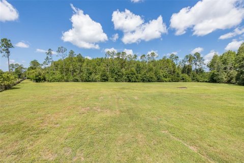 Land in Odessa, Florida № 2152354 - photo 15