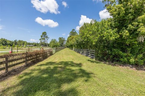 Land in Odessa, Florida № 2152354 - photo 24