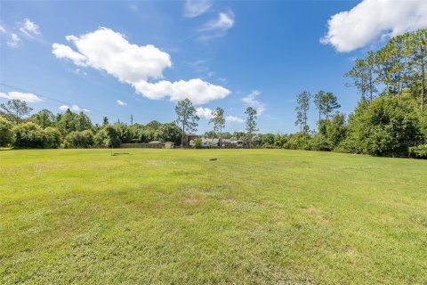 Land in Odessa, Florida № 2152354 - photo 8